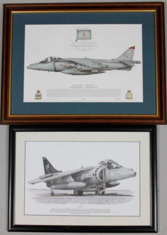 Squadron Prints (20thC). Harrier GR9 print