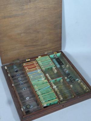 A 19thC mahogany slide case