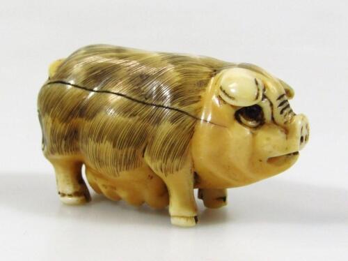 A Japanese netsuke in the form of a standing pig