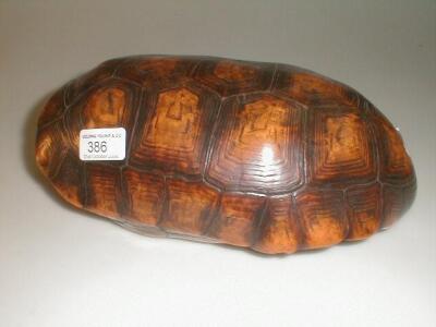 A tortoise carapace. £50-80