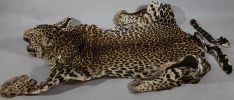 An early 20thC Leopard head rug