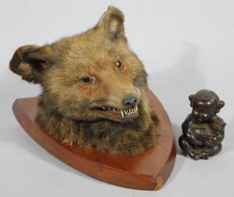 A 20thC taxidermy fox head