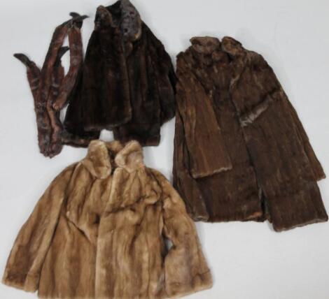 Various early 20thC fur