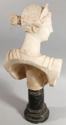 A 19thC alabaster bust - 3