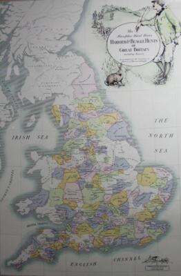 After Hampton Editions. Harrier And Beagle Hunts Of Great Britain coloured print - 3