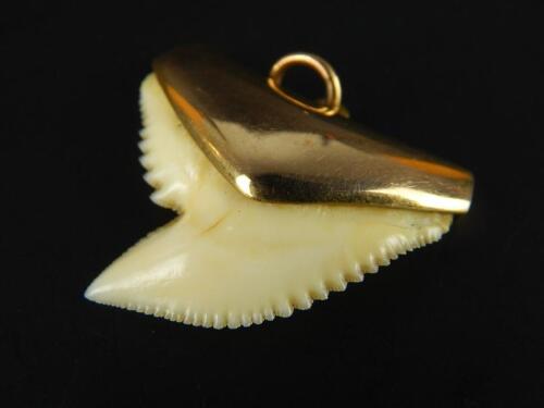 A pendant