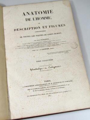 Cloquet (Jules). Anatomie De L'Homme