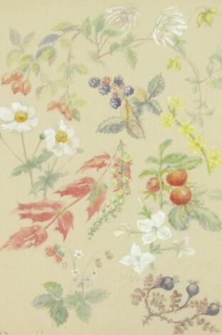 20thC School. A watercolour study of summer fruits and flowers