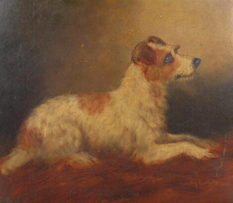 George Earl (1824-1908). Rough haired terrier