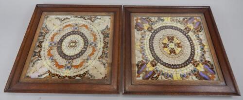 A pair of early to mid 20thC butterfly pictures