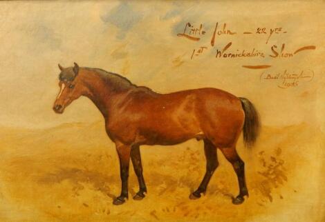 Basil Nightingale (1864-1940). Little John 22 years 1st Warwickshire Show