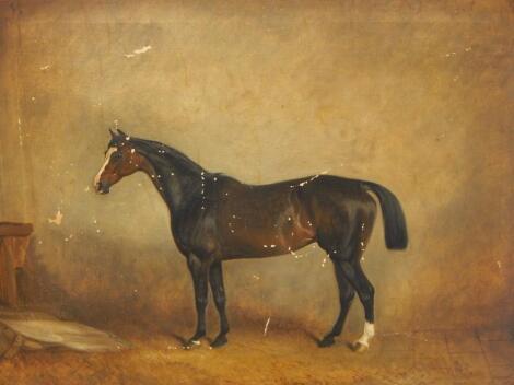 Claude Lorraine Ferneley (1822-1891). Study of horse in stable