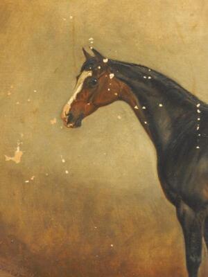 Claude Lorraine Ferneley (1822-1891). Study of horse in stable - 3