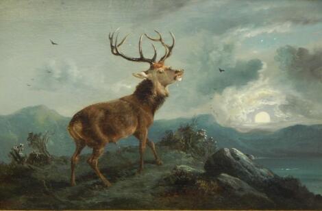 Byron Webb (act. 1846-1866). Stag in moonlight