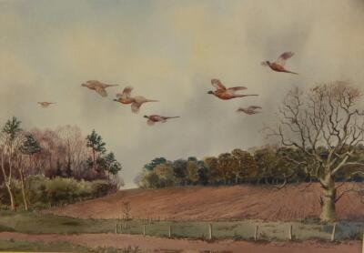 Robert W Milliken (1920-2014). Pheasants over Holkham Woods