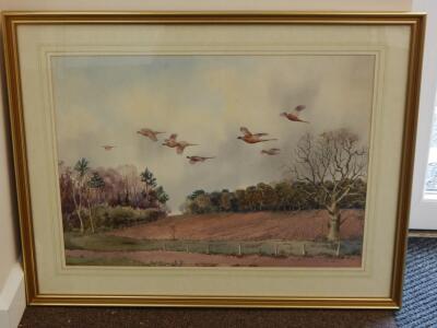 Robert W Milliken (1920-2014). Pheasants over Holkham Woods - 2