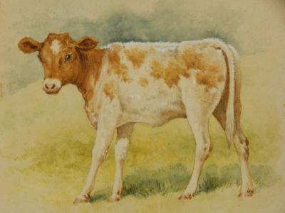 John Alfred Arnesby Brown (1866-1955). Calf