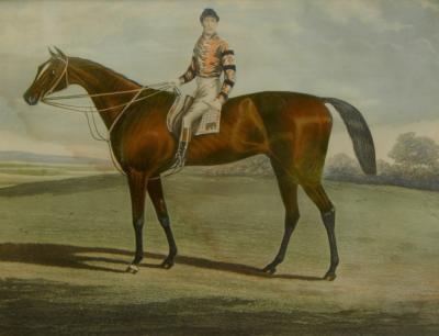 Coloured print. Iroquois - Derby winner