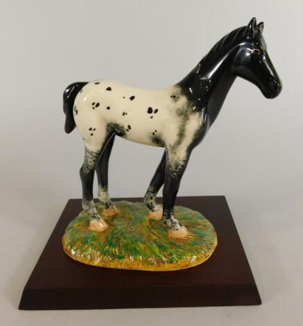 A Royal Doulton porcelain figure of an Appaloosa foal