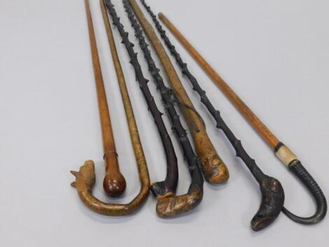 A collection of walking sticks