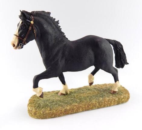 A Border Fine Arts sculpture of a Welsh Cob Stallion