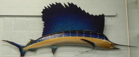 A fibre glass sail fish