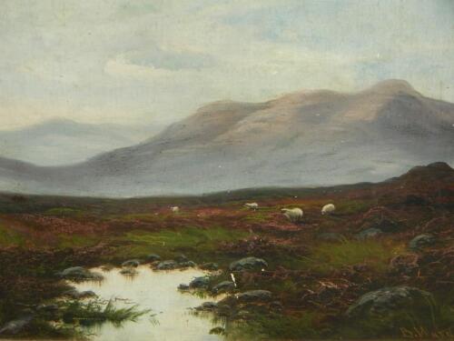 B Ward (19thC). Highland scene with sheep