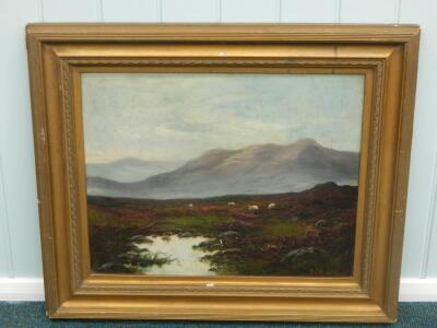 B Ward (19thC). Highland scene with sheep - 2