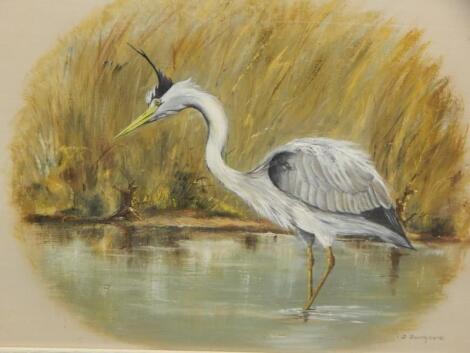 Donald Southgate (20thC). Heron