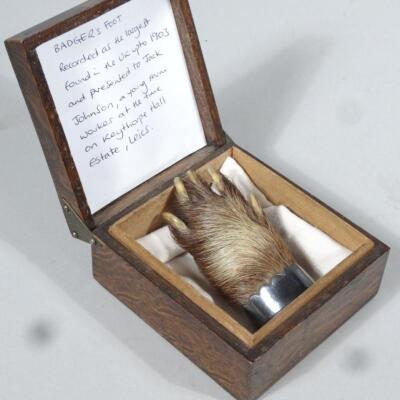 An Edwardian curio badger's foot brooch - 2