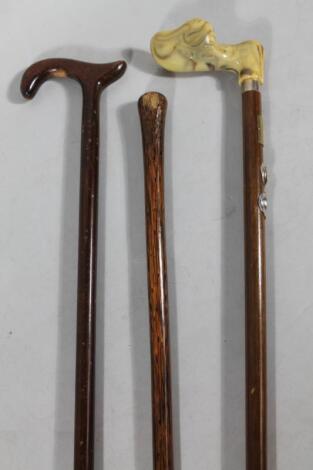 Three various walking sticks