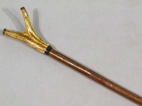 A polished horn shepherd's 'Y' shaped walking stick