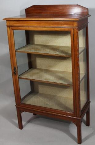 An Edwardian mahogany display cabinet