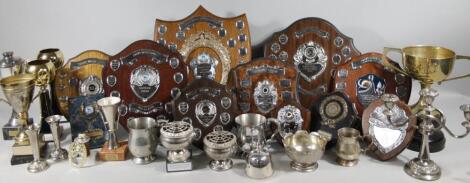 Various boxer dog trophies and awards