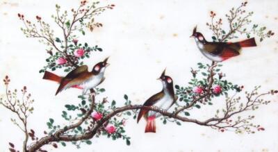 19thC Chinese School. Exotic birds in a naturalistic setting - 4