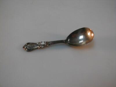 A Victorian silver caddy spoon