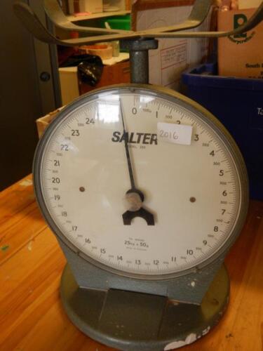 *A set of Salter model 250 weighing scales