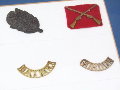 Various metal cap badges - 5