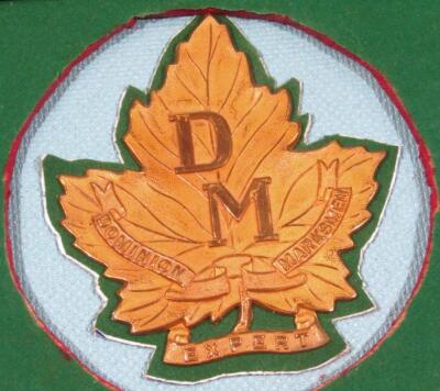 Various Canadian metal helmet badges - 2