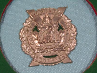 Various Canadian metal helmet badges - 5