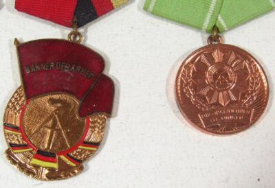 Various Egyptian and Russian Eastern Bloc medals - 3