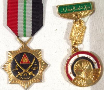 Various Egyptian and Russian Eastern Bloc medals - 11