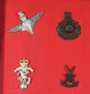 Various cap badges - 2