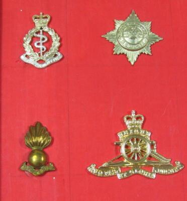 Various cap badges - 9