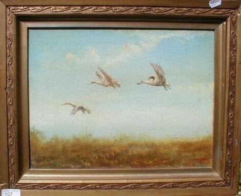 Didier Six. Storks over the Camargue