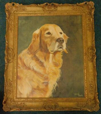 Malcolm Doughty. Golden Retriever