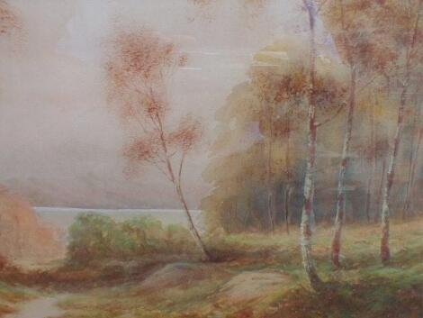 W. Wray. Landscape with silver birches in the foreground and lake in the distance