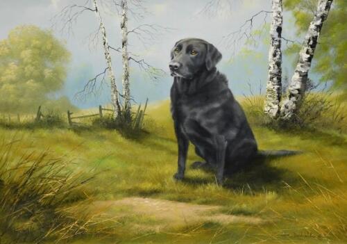 David Waller (20thC). Black labrador