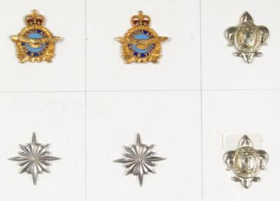 Various Canadian regimental metal cap badges - 7