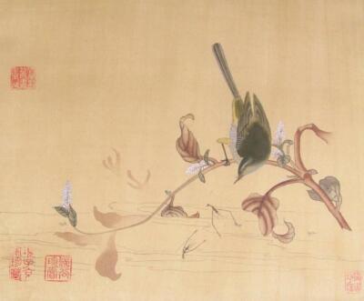 Japanese Meiji School. Bird on branch in colours on silk